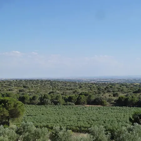 Rural La Moragona Vara Del Rey